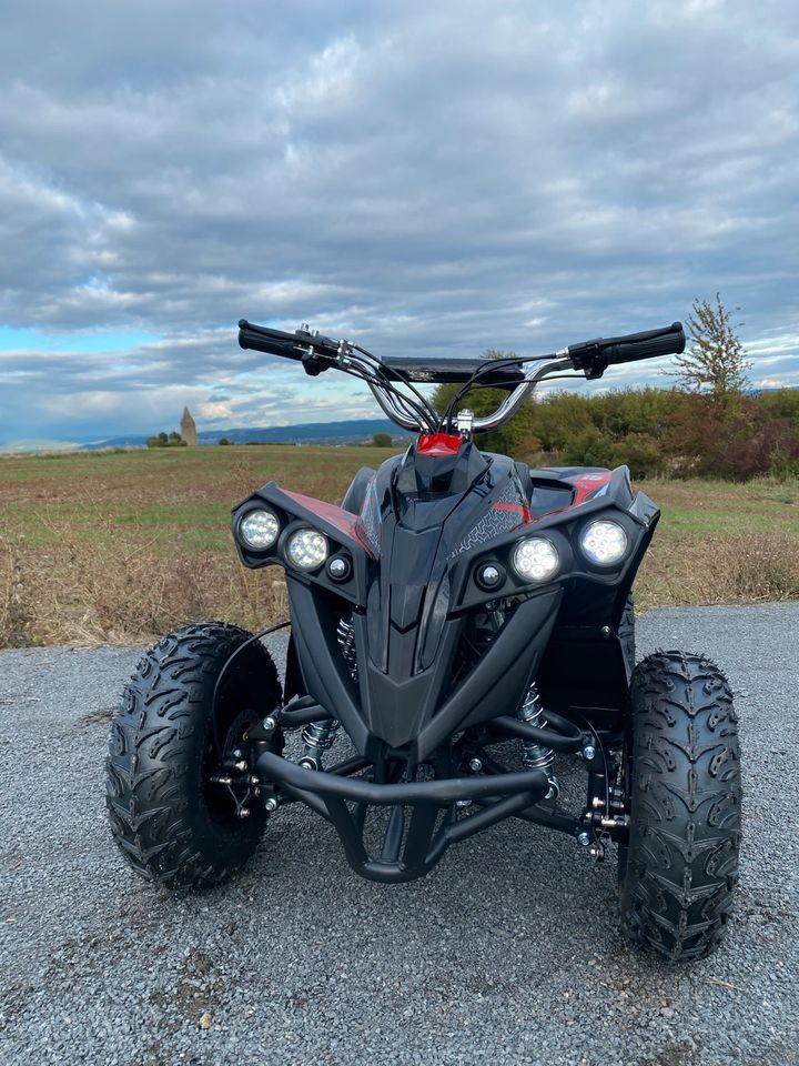 Pocket Bike Quad 1000 Watt 48V NEU Elektro Kinderquad Mini ATV in Aschaffenburg