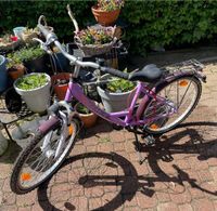 Pegasus Fahrrad 24 Zoll *wie neu* stand nur im Fahrradkeller Niedersachsen - Clausthal-Zellerfeld Vorschau