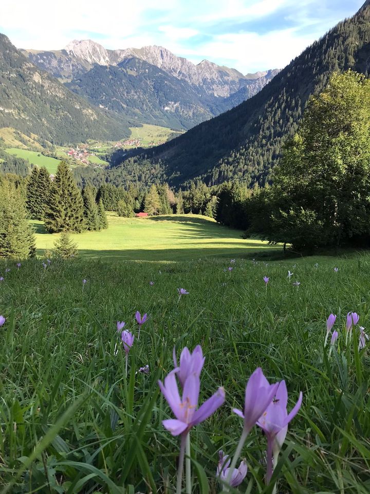 Apartment im Allgäu in Hindelang