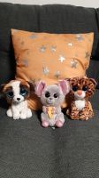 3 Glubschi Set 5€ Kuscheltier Hund Maus Tieger Katze Nordrhein-Westfalen - Goch Vorschau