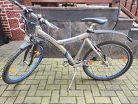 Prince Jugendfahrrad 26 Zoll Hessen - Dautphetal Vorschau