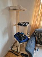 Katzenkratzbaum für Selbstabholer 10 Euro Vahr - Neue Vahr Nord Vorschau