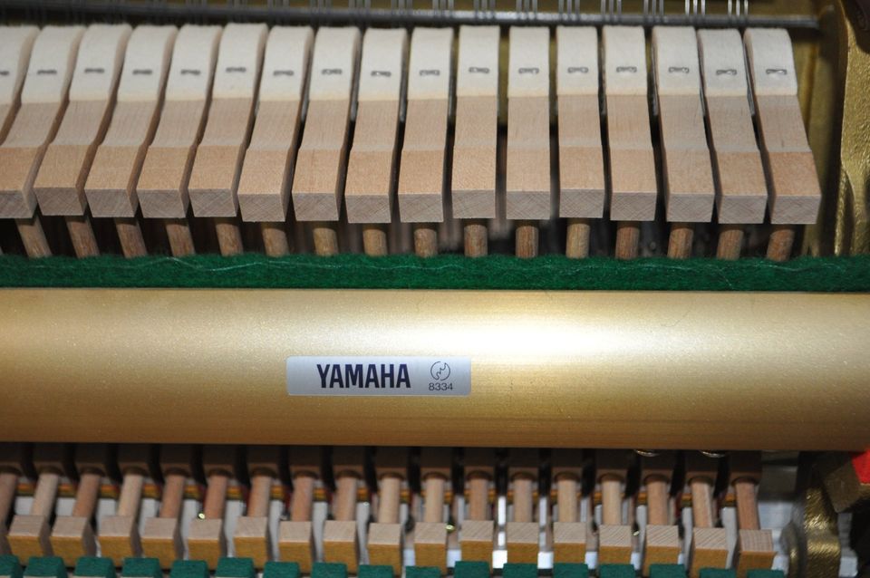 Yamaha E 116 T Klavier Bj. 1998 in Friedberg (Hessen)