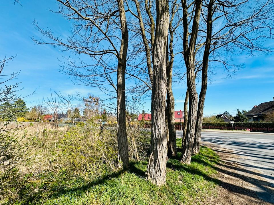 Großes bauträgerfreies Grundstück im Herzen von Woltersdorf! in Woltersdorf