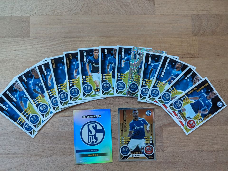 Topps Match Attax 2016 / 2017 FC Schalke 04 in Hamburg