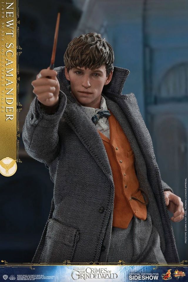 Hot Toys Newt Scamander Sideshow 1/6 Phantastische Tierwesen in St. Wendel