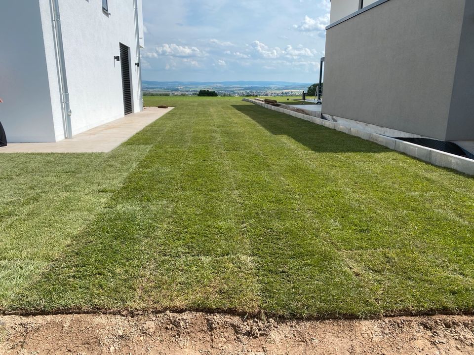 Baggerarbeit, Erdarbeiten, Gartenarbeit, Rollrasen , Tiefbau in Fritzlar