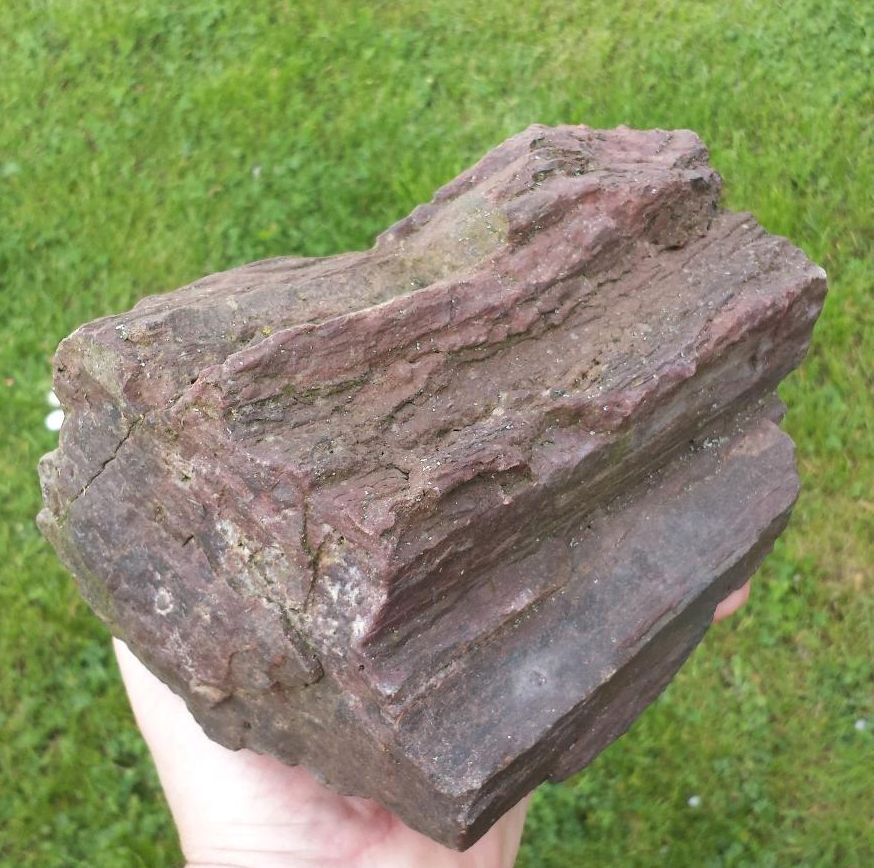 versteinertes Holz Mansfeld Mineralien in Welfesholz
