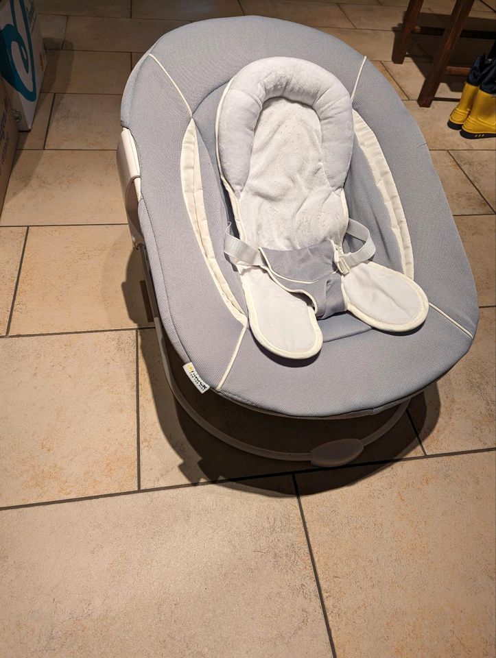 Hauck Baby Bouncer 2 in 1 Hochstuhlaufsatz in Burgthann 