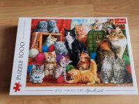 Trefl Puzzle Katzen 1000 Teile Sachsen-Anhalt - Magdeburg Vorschau