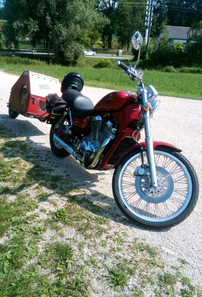 Suzuki Intruder Gespann , Motorradanhänger, Hundebox, in Friedberg