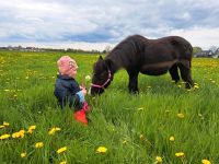 Kindergeburtstag auf dem Ponyhof Nordrhein-Westfalen - Rheda-Wiedenbrück Vorschau