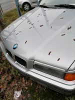 BMW 316i compact | Bj.1995 | Silber Metallic | bald Oldtimer Nordrhein-Westfalen - Hamm Vorschau