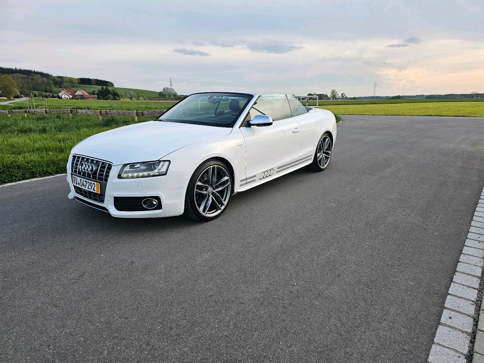 Audi S5 Cabrio Tüv Neu in Bad Wurzach