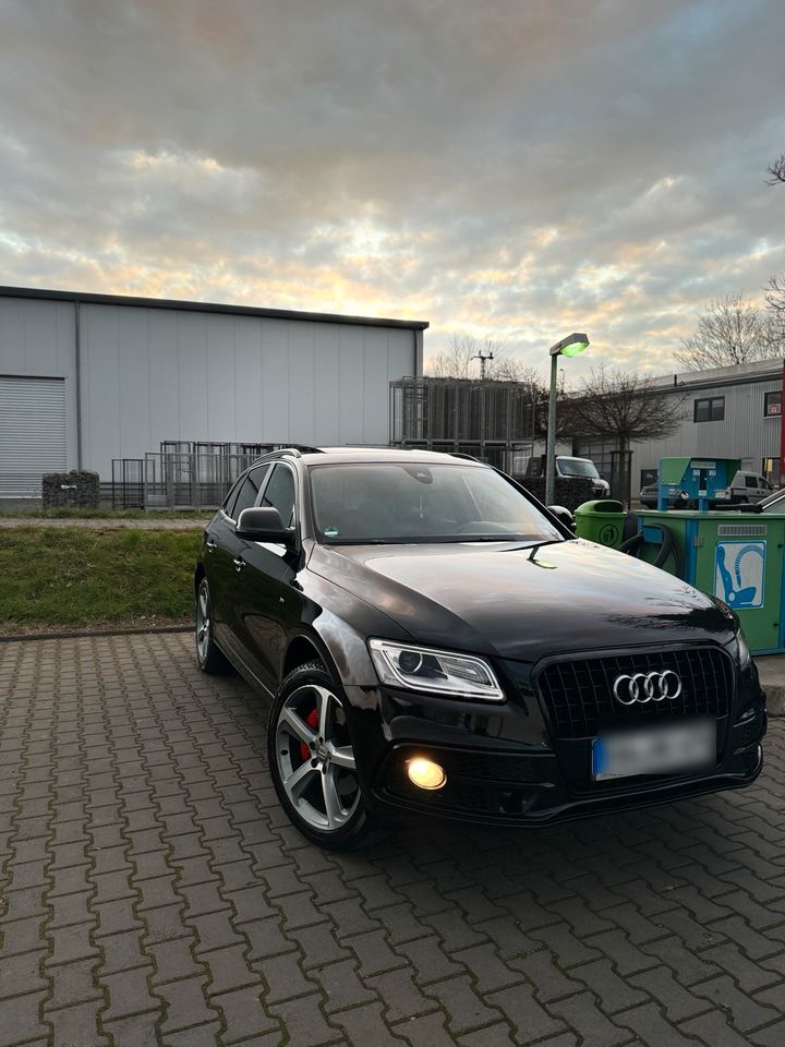Audi Q5 3.0TDI S-Line Sport Plus Panorama in Remagen