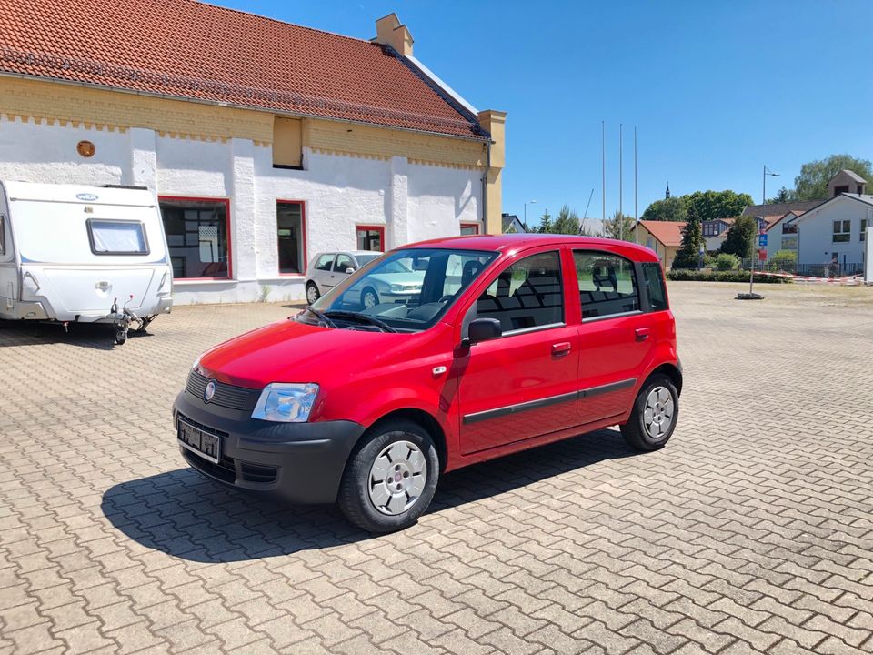 Fiat Panda - RATENZAHLUNG MÖGLICH! in Leipzig