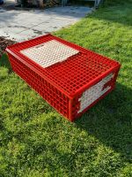Geflügeltransportbox Transportbox für Hühner Nordrhein-Westfalen - Schwerte Vorschau