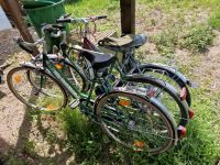 Konvolut 3 Fahrräder 28" und 26" Vintage Oldtimer Niedersachsen - Bergen Vorschau