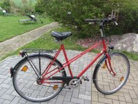 DAMENFAHRRAD / MANUFAKTUR 140 Niedersachsen - Aerzen Vorschau