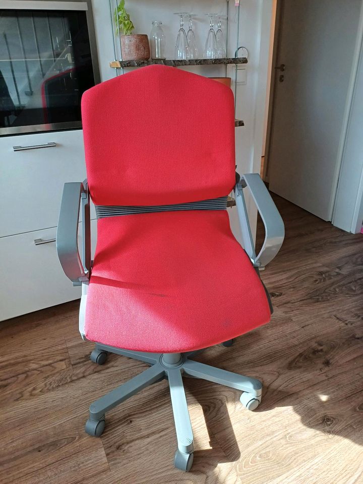 Ergonomischer Schreibtischstuhl, röder motion in Köln