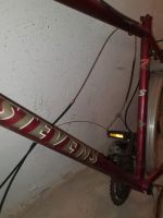 51 Rahmen Fahrradrahmen von Stevens rostrot Berlin - Marzahn Vorschau