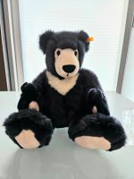 Steiff Teddybär 27 cm Niedersachsen - Rhauderfehn Vorschau