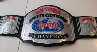 Wrestling Gürtel WCW Television World Championship Belt WWE AEW Osterholz - Ellenerbrok-Schevemoor Vorschau