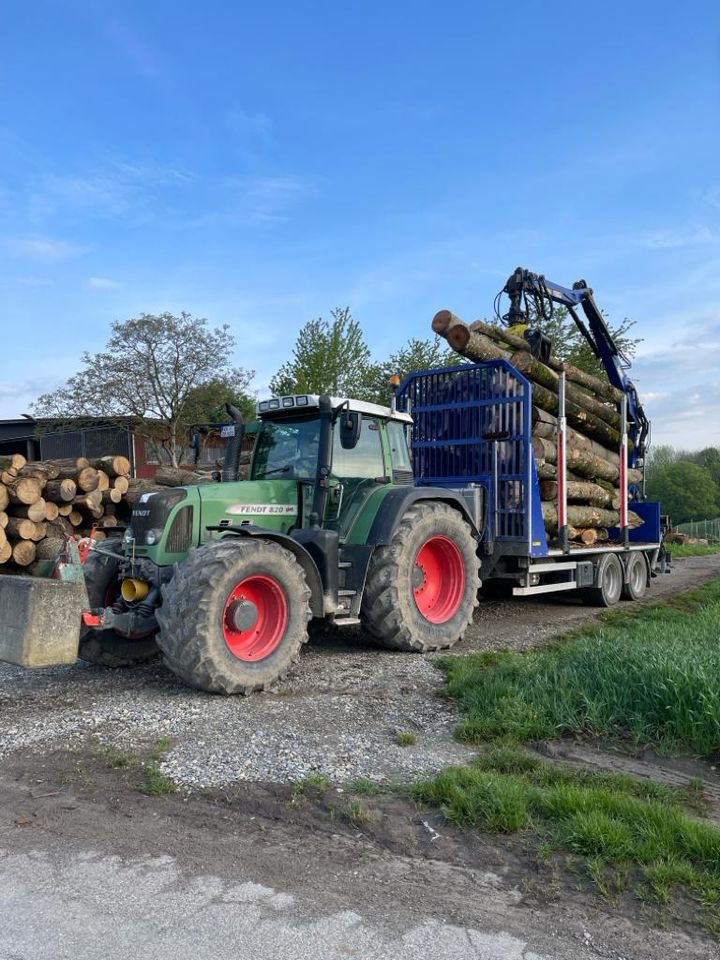 Holztransporte, Holz fahren, Rückewagen, Brennholz in Singen