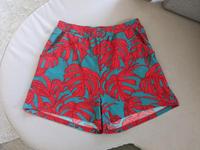 leichte Sommer Shorts WE  40/L neu Herzogtum Lauenburg - Kröppelshagen-Fahrendorf Vorschau