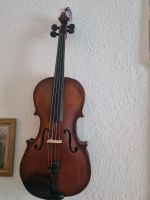 Violine braca Chemnitz - Sonnenberg Vorschau