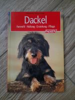Dackel Falken Verlag. ❤ Saarland - Schiffweiler Vorschau
