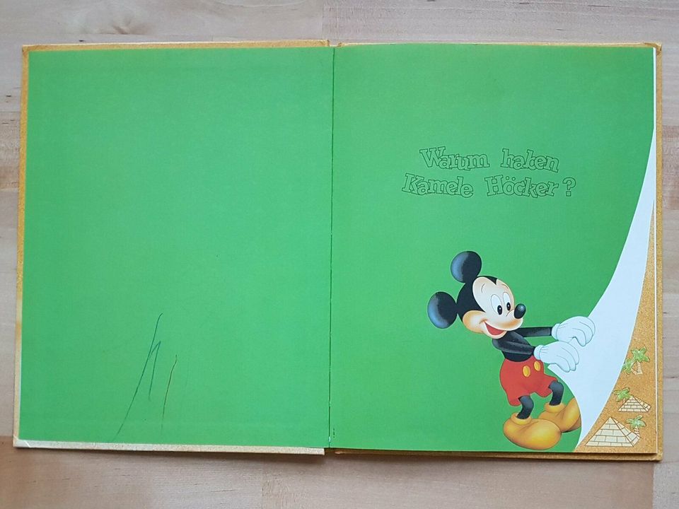 7x LERNBUCH Disney Kinderfragen mit Micky Mouse Lexikon in Leipzig