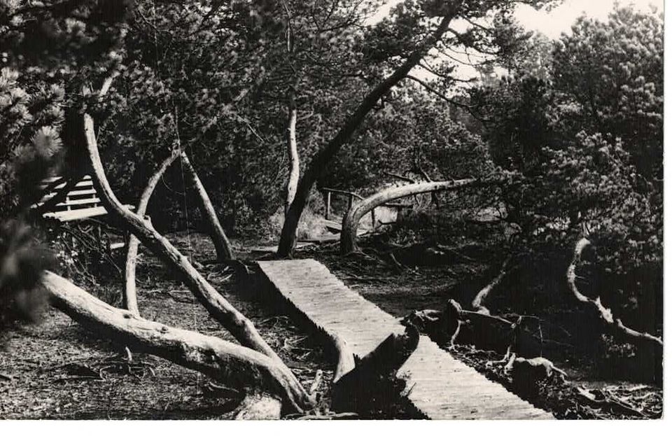 viele Postkarten aus dem Erzgebirge Sachsen Deutschland / DDR in Siegen