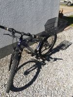 Fahrrad Jungen Mountainbike Nordrhein-Westfalen - Herten Vorschau