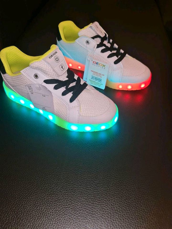 NEU GEOX RESPIRA SNEAKERS CON LED in Essen West Holsterhausen