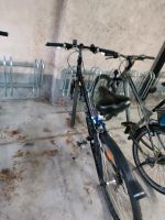 Fahrrad Jugendrad Baden-Württemberg - Bad Krozingen Vorschau