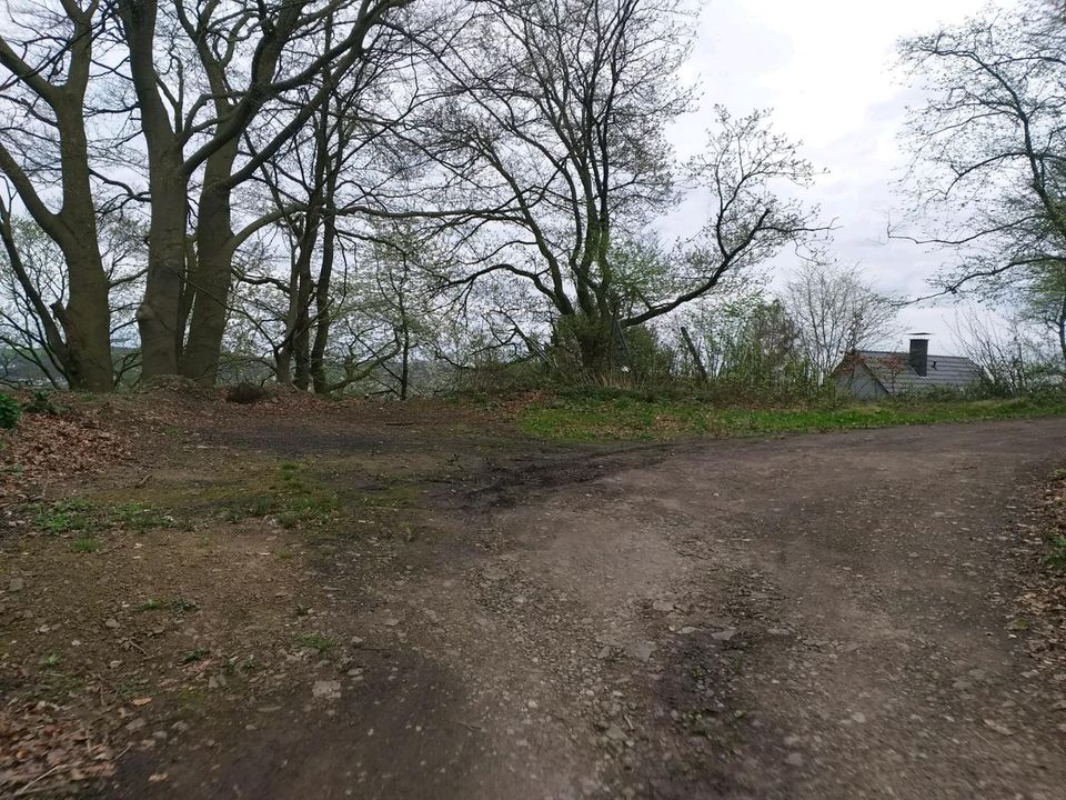 Fläche zur Bienenhaltung Gartenstück Garten in Hagen