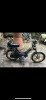 Suche Honda Camino Pa 50  Mofa Moped & Ersatzteile alles anbieten Rheinland-Pfalz - Ingelheim am Rhein Vorschau