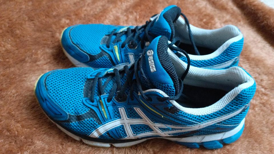 Asics Schuhe Größe 45 in Werlte 