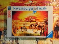 Stolzer Massai - 3000 Teile Puzzle Ravensburger Berlin - Zehlendorf Vorschau