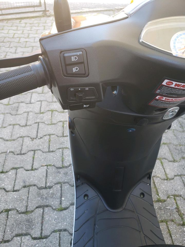 Motorroller Luxxon Elvis in Eichendorf
