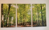 Leinwand Bild 3 Teilig Wald Foto 60x100 180x100 Rostock - Stadtmitte Vorschau