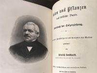 Antikes Forst-Buch von 1880: Handbuch der Holzerziehung Baden-Württemberg - Aalen Vorschau