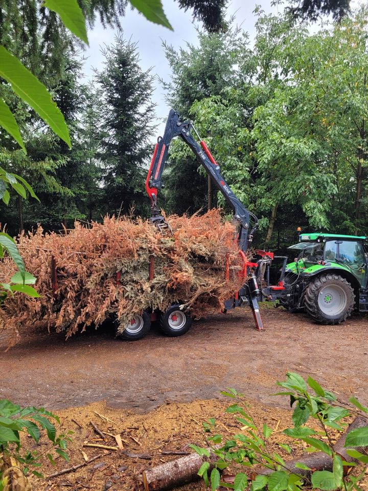 Holztransport/ Rückewagen Transport in Gengenbach