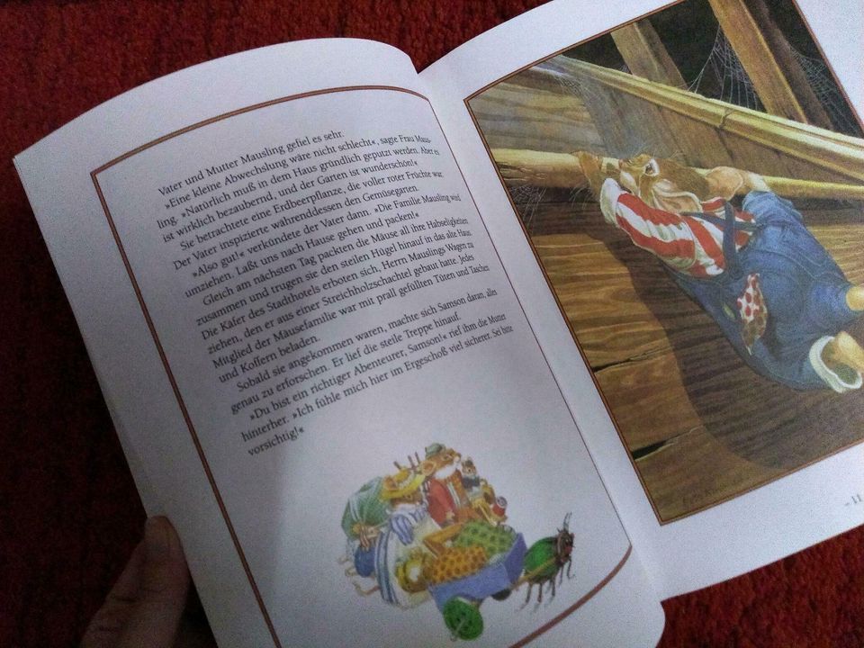 Samson im Gespensterhaus, Kinderbuch aus 1996 in Ellingen