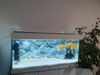 Aquarium 180 Liter Hessen - Langen (Hessen) Vorschau