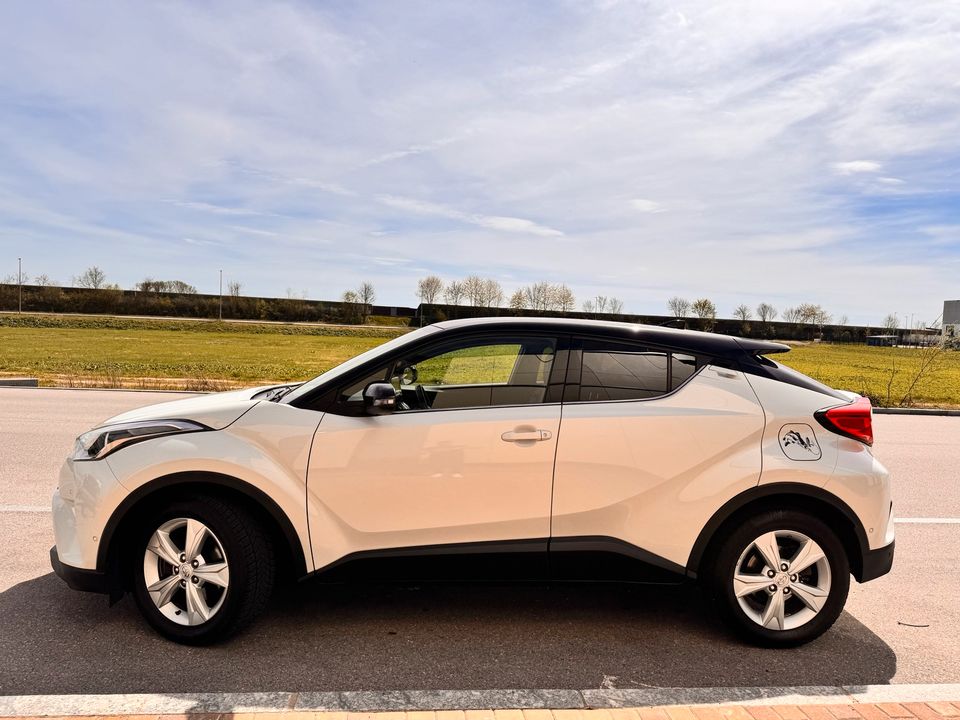 Toyota C-HR in Freising