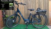 ☆Velo de Ville C800 Premium  (26 ZOLL) Bosch Active GARANTIE☆ Niedersachsen - Weener Vorschau