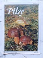 DDR Zeitschrift "Pilze " Sachsen-Anhalt - Wolmirstedt Vorschau