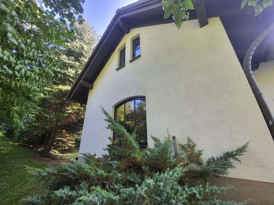 Traumhaftes Haus in traumhafter Lage! in Grünhainichen
